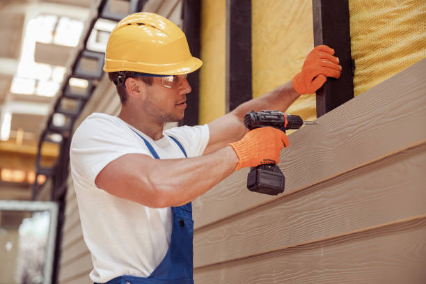Best Brick Veneer Siding  in Ash Flat, AR