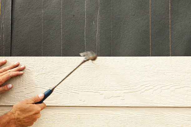 Best Custom Trim and Detailing for Siding  in Ash Flat, AR